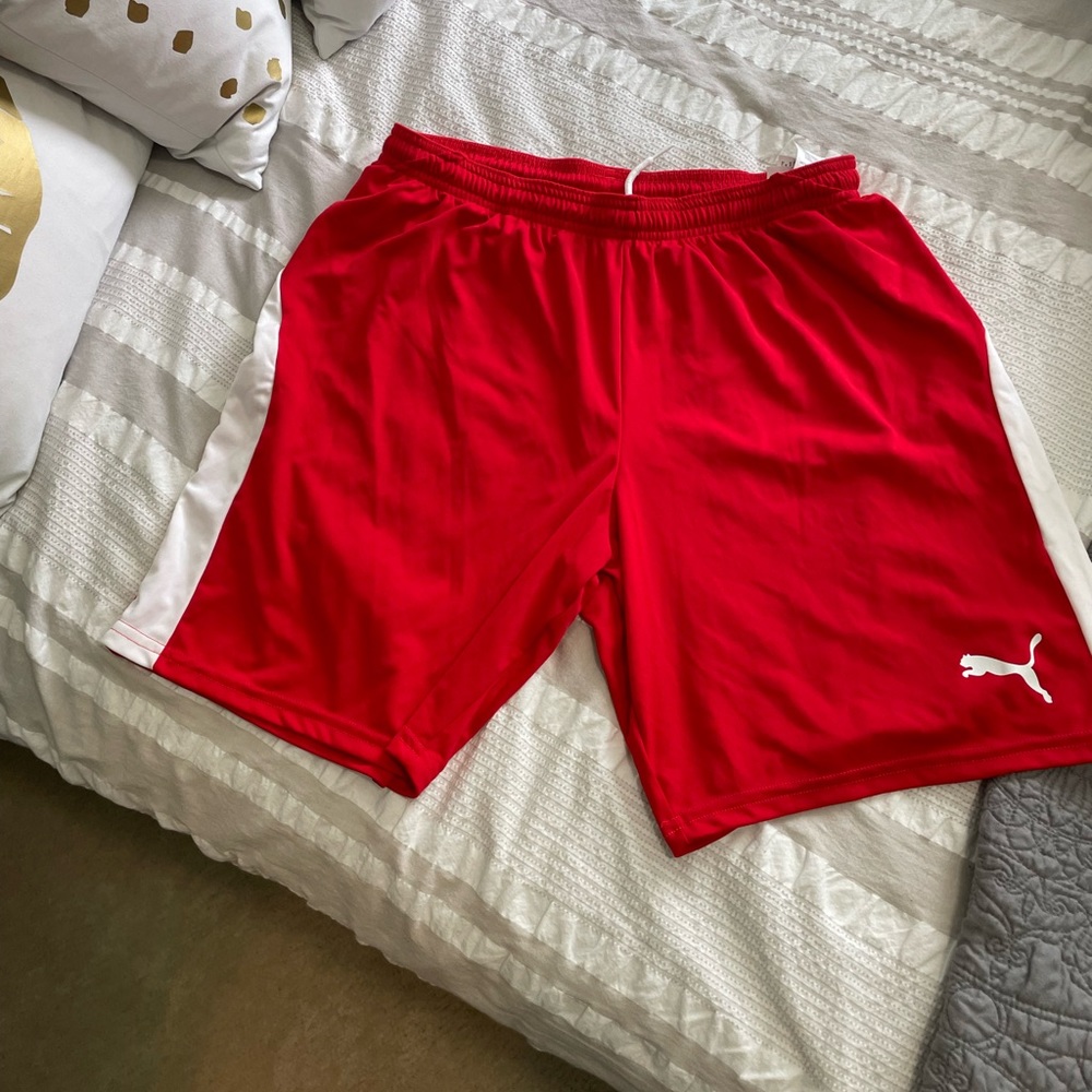 NWOT Puma Men’s Liga Shorts L